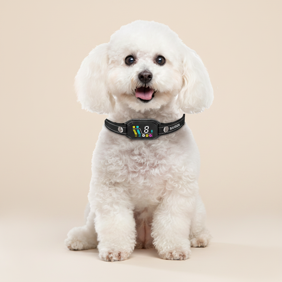 RAHADA Bark Collar Hero