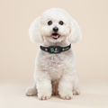 RAHADA Bark Collar Hero